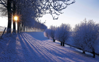 Snowy path trees fence sunset 3 - flemish free wallpaper