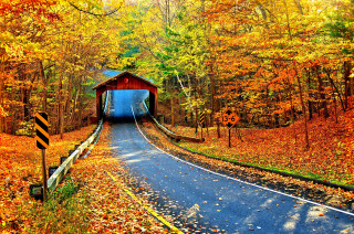 Covered bridge forest fall foliage - fall foliage free wallpaper