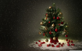 Small christmas tree presents snow - a small christmas tree free wallpaper
