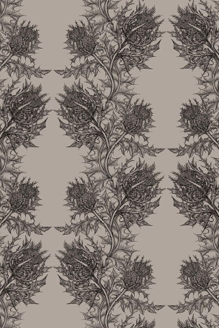 Leaves branches pattern gray background - free textures wallpaper