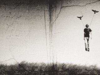 Man suspended wire birds air - suspended free wallpaper