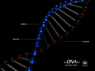 Human cell structure labeled blue - assemblage free wallpaper