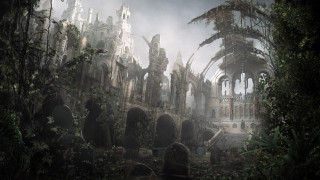 Ruined building forest bird flying - cedric peyravernay free wallpaper