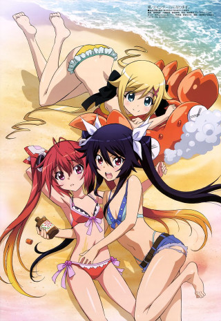 Anime girls beach cat dog - a cat free wallpaper for mobile