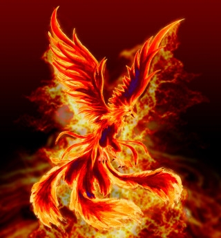 Fire bird flames wings autumn - anne stokes free wallpaper for tablet