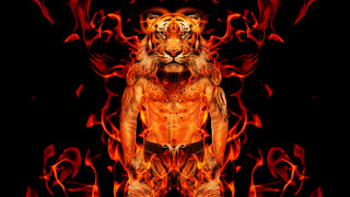 Tiger flames orange red man - a tiger free wallpaper for desktop