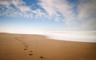 Beach footprints blue sky ocean - footprint free wallpaper