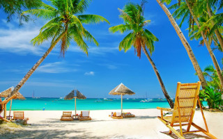 Beach chairs umbrellas palm trees 5 - chair and umbrellas free wallpaper