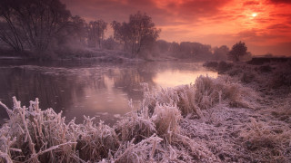 River ice grass trees red - grass and trees free wallpaper