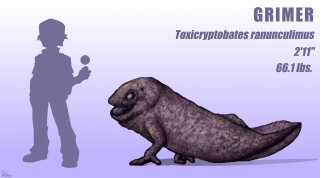 Cartoon character giant animal shadow - subsurface free wallpaper for desktop