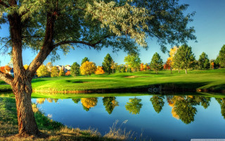 Golf course pond trees green - a pond and trees free wallpaper