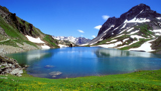 Mountain lake green grass flowers - a mountain lake free wallpaper