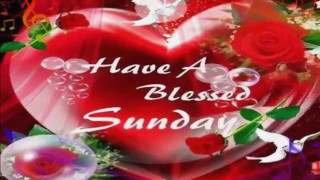 Heart roses blessing sunday message - sun free wallpaper for desktop