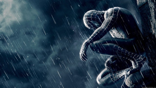 Spider man rain hands hips 2 - a spider free wallpaper