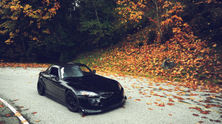 Black sports car fall leaves - fallen free wallpaper