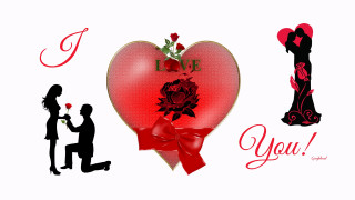 Man kneeling woman rose love - box free wallpaper for desktop