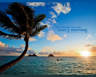Palm tree quote ocean boat - sunrise free wallpaper