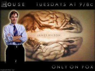 Man standing brain picture arms - front of him free wallpaper