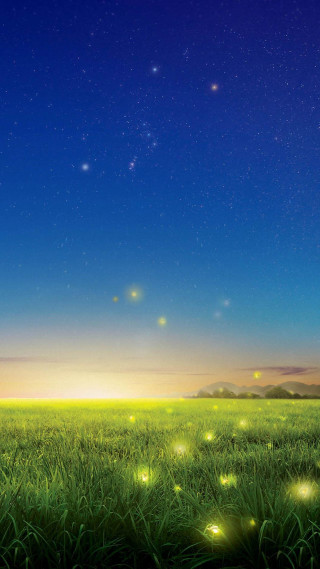 Field grass fireflies night sky 2 - chiho aoshima free wallpaper for mobile
