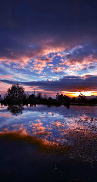 Sunset reflection water trees clouds - free sunset wallpaper for mobile