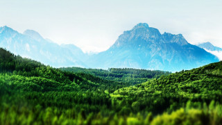 Mountain range forest blue sky 2 - a forest in the foreground free wallpaper