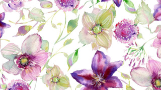 Watercolor purple flowers green leaves - a watercolor painting free wallpaper
