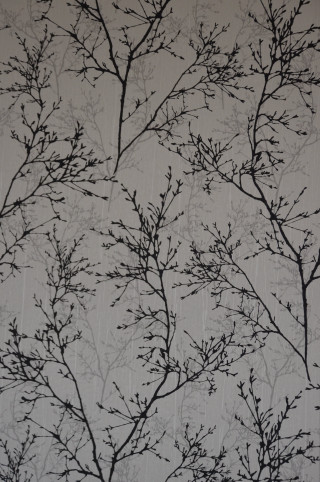 Tree branch no leaves wallpaper - leaf free wallpaper for mobile