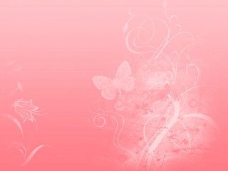 Pink background white flower butterflies - a pink background free wallpaper