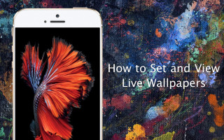 How to set view live - the text free wallpaper