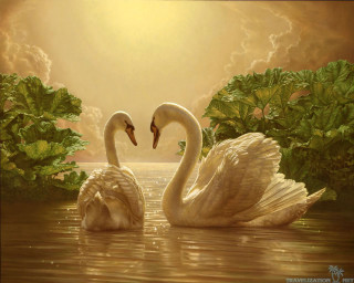 Swans swimming lake trees clouds - two swan free wallpaper