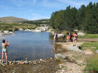 People river horses water woman - a picture of them free wallpaper
