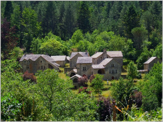 Large house trees woods windows - a large house free wallpaper