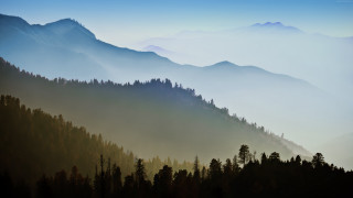 Mountain range trees fog blue 2 - volumetric fog free wallpaper