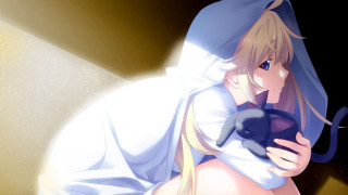 Woman white dress holding cat - her hand and a cat free wallpaper