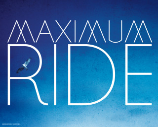 Maximum ride bird flying blue - imax free wallpaper