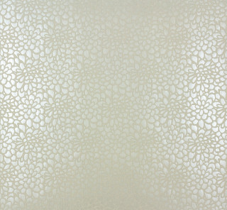 White wall circles pattern black - a black cat free wallpaper for tablet