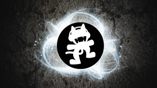 Black white cat glowing circle - circle free wallpaper for desktop