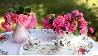 Table flowers plate cup saucer - a plate free wallpaper