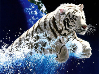 White tiger water blue background - a white tiger free wallpaper