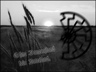 Black white field clock one - ernst free wallpaper for desktop