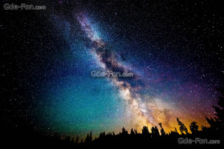 Night sky milky way pine - milky free wallpaper