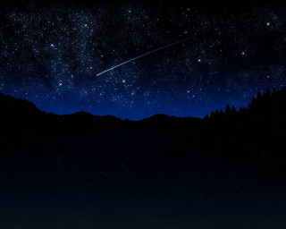 Night sky shooting star forest - shooting free wallpaper