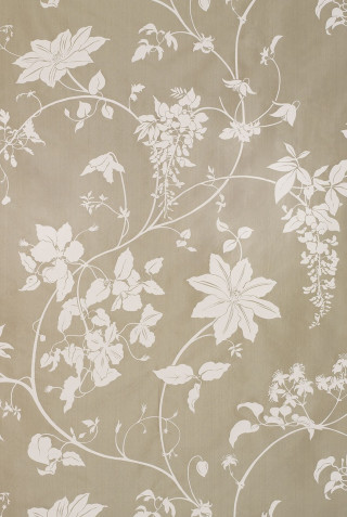 Wall flower pattern white background - fine free wallpaper for mobile