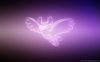 Bird flying purple background lightning - effect free wallpaper