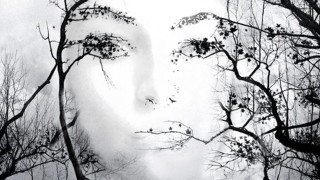 Woman face trees branches snow - surrealism free wallpaper