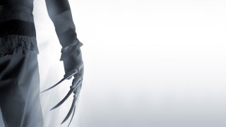 Long claws black white photo - their leg free wallpaper