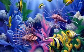 Sea life fish corals water - fish and corals free wallpaper