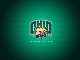 Green background tiger head ohio - official medium free wallpaper