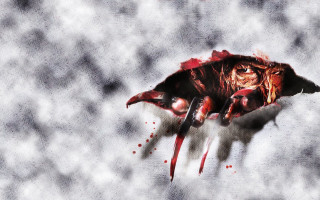 Bloody face hole sky knife - sharp claw free wallpaper for desktop