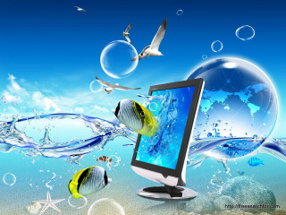 Computer monitor sea life birds - a screen free wallpaper for desktop